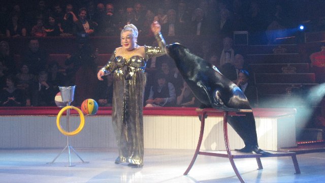 Chico &amp; jean-Claude Dreyfus